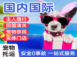霍林河机场邮寄国际宠物托运 【国